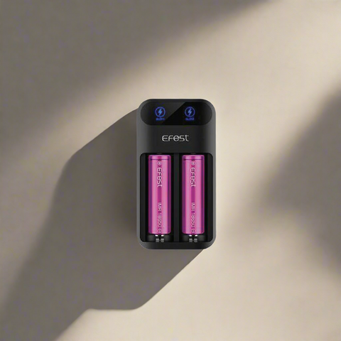 Lush Q2 Battery Charger