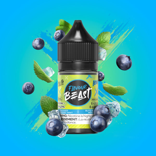 Blessed Blueberry Mint Iced Salt