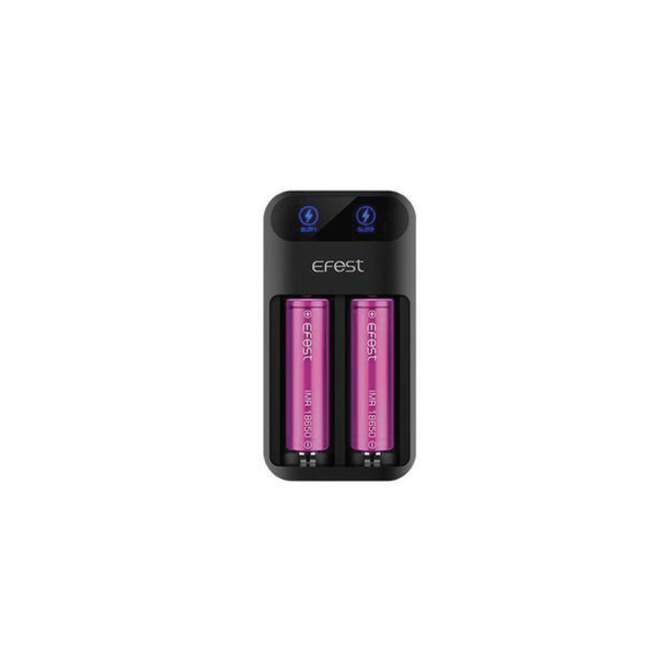 Lush Q2 Battery Charger