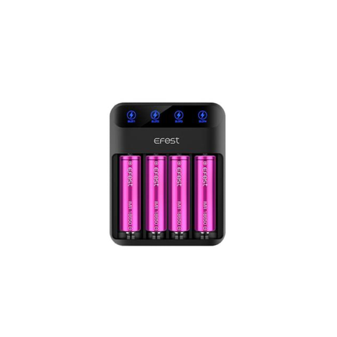 Lush Q4 Battery Charger
