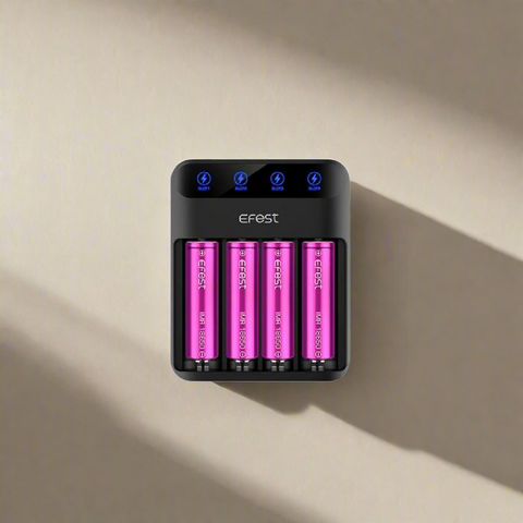 Lush Q4 Battery Charger